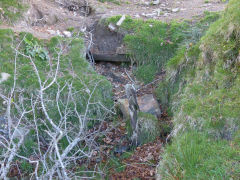 Hafod Arthen Colliery level, May 2013